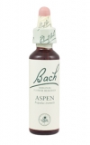 Aspen (Topol osika)